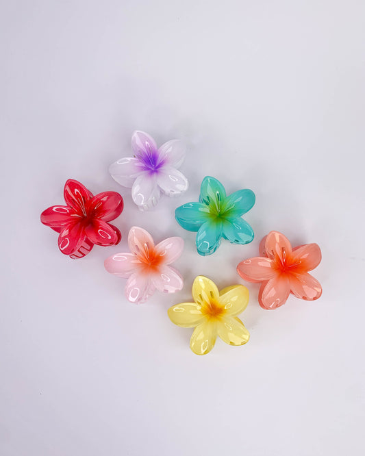 Set od 6 cvijet šnala