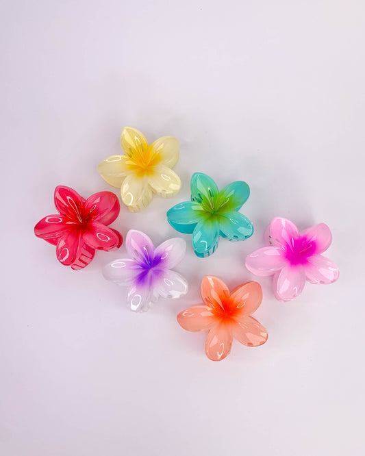 Set od 6 cvijet šnala